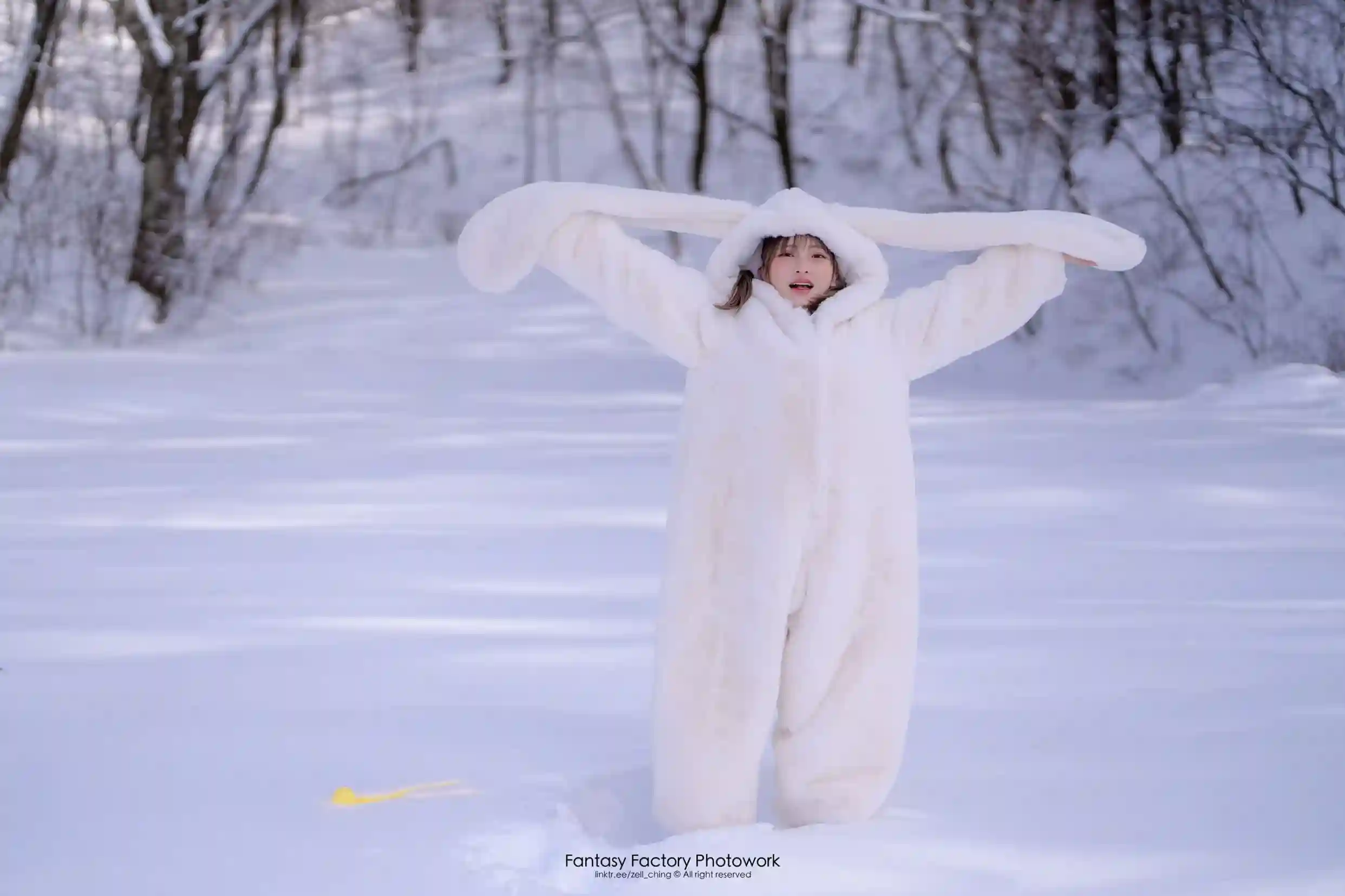 Fantasy Factory Xiao Ding Snow Rabbit